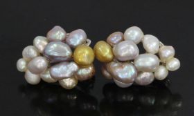 Witgouden fraai set multicolor parel oorbellen