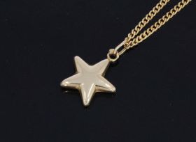 Ster hanger 14 karaats goud armband bedel