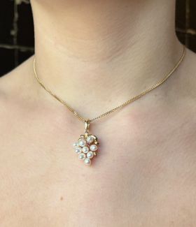 Parel robijn 14 karaats gouden druiventros ketting hanger clip 