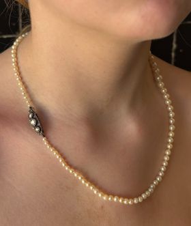 Cultive Akoya parel collier aan zeer fraaie zilveren antieke sluiting bezet met 3 grote roosgeslepen diamanten(2x 4mm en 1x 5,5mm) omringd door 10 kleinere roosdiamantjes. Draaglengte van dit sieraad is 49cm, parels oplopend geregen van 3mm tot 7mm, fijne