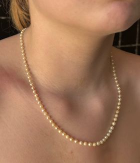 Fijn parel collier met licht oplopende parels van 3mm tot 4,5mm aan 14 karaats gouden antieke sluiting. Draaglengte van dit sieraad is 47cm, fijne uitvoering, slot met mille griffe witgouden bewerking waarin diamant. Conditie mooi antieke staat, met veili